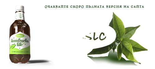 kombucha.bg